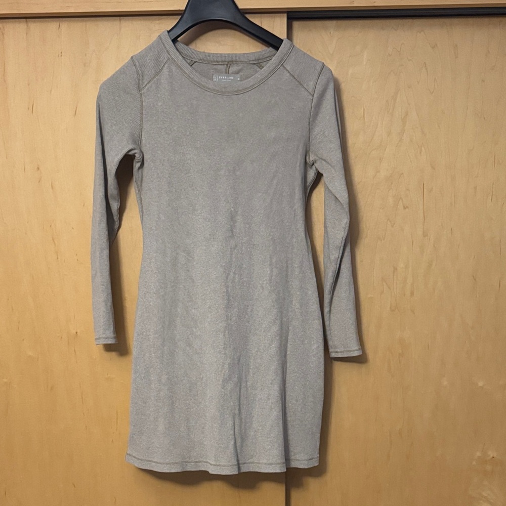 Everlane dark beige Long Sleeve Dress